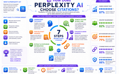 How Does Perplexity AI Choose Citations ?