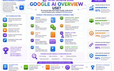 What Schema Does Google AI Overview Use ?