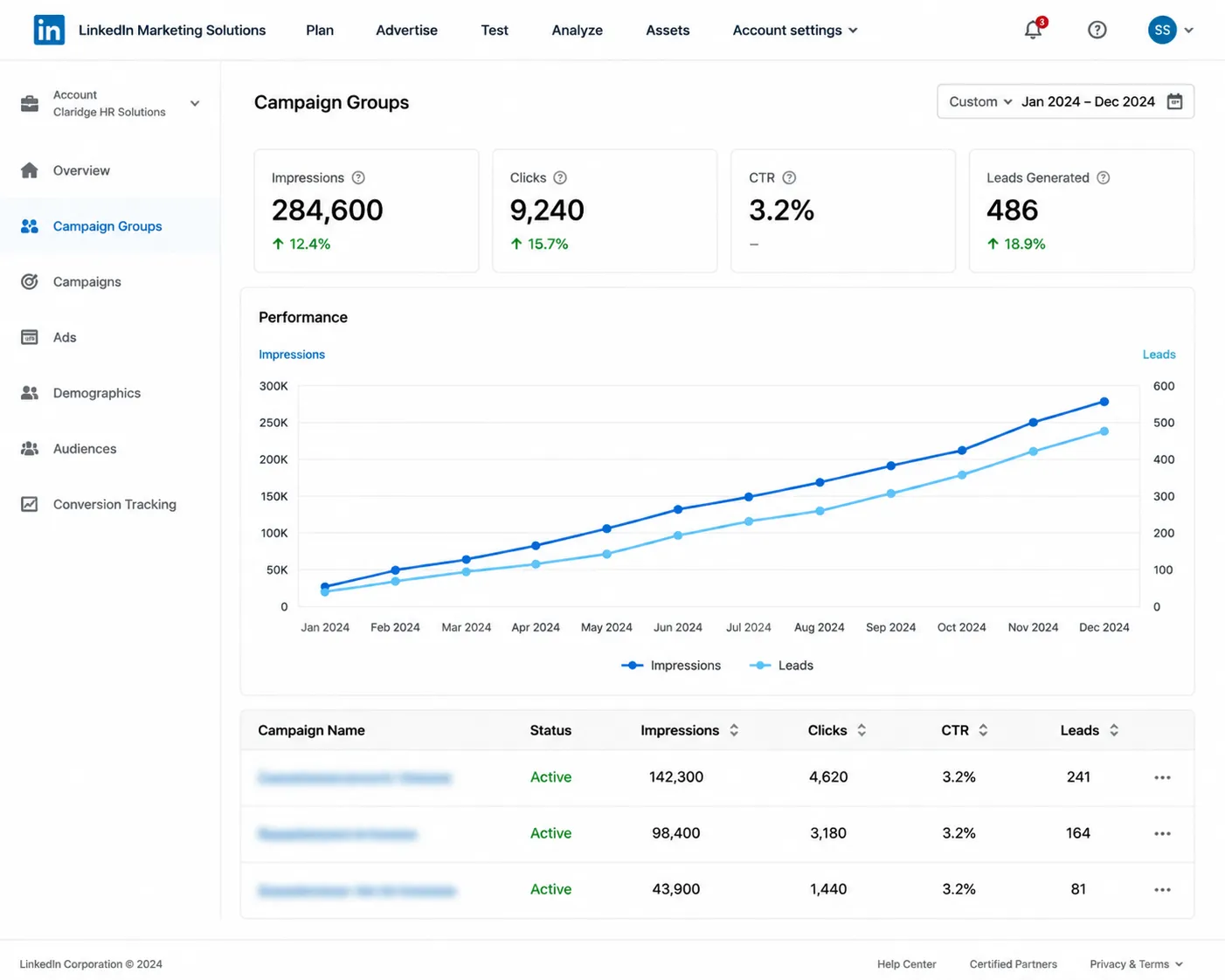 LinkedIn Campaign Groups dashboard with KPI cards Impressions Clicks CTR Leads and a dual line performance chart for JanDec 2024 plus a campaigns table below