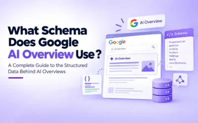 What Schema Does Google AI Overview Use ?