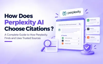 How Does Perplexity AI Choose Citations ?